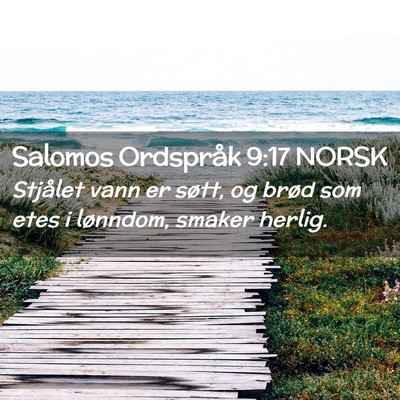 Picture 02 - Salomos Ordspråk 9:17 NORSK - Stjålet vann er søtt, og brød som etes i - Bible Verse Picture