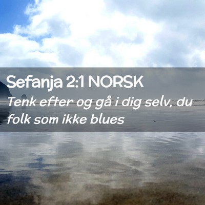 Picture 02 - Sefanja 2:1 NORSK - Tenk efter og gå i dig selv, du folk som ikke - Bible Verse Picture