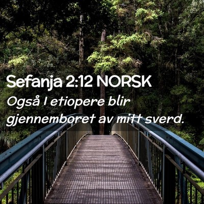 Picture 02 - Sefanja 2:12 NORSK - Også I etiopere blir gjennemboret av mitt - Bible Verse Picture