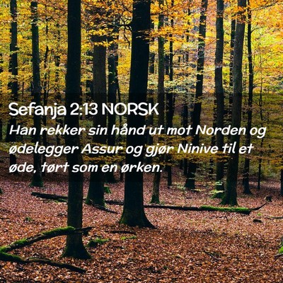 Picture 02 - Sefanja 2:13 NORSK - Han rekker sin hånd ut mot Norden og ødelegger - Bible Verse Picture