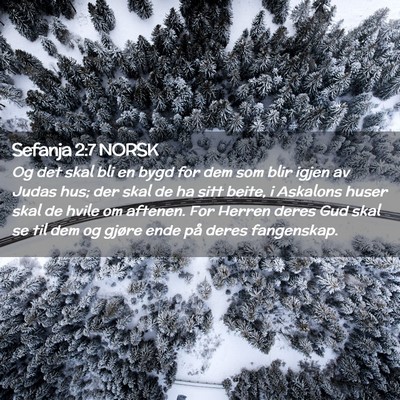 Picture 02 - Sefanja 2:7 NORSK - Og det skal bli en bygd for dem som blir igjen av - Bible Verse Picture