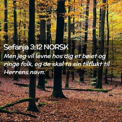 Picture 02 - Sefanja 3:12 NORSK - Men jeg vil levne hos dig et bøiet og ringe - Bible Verse Picture