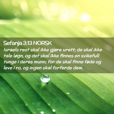 Picture 02 - Sefanja 3:13 NORSK - Israels rest skal ikke gjøre urett; de skal ikke - Bible Verse Picture