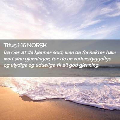 Picture 02 - Titus 1:16 NORSK - De sier at de kjenner Gud; men de fornekter ham - Bible Verse Picture