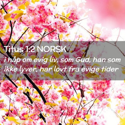 Picture 02 - Titus 1:2 NORSK - i håp om evig liv, som Gud, han som ikke lyver, - Bible Verse Picture