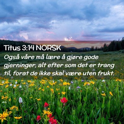 Picture 02 - Titus 3:14 NORSK - Også våre må lære å gjøre gode gjerninger, - Bible Verse Picture