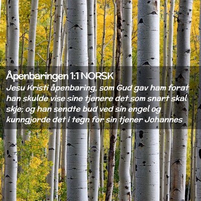 Picture 02 - Åpenbaringen 1:1 NORSK - Jesu Kristi åpenbaring, som Gud gav ham forat - Bible Verse Picture