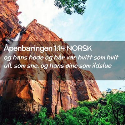 Picture 02 - Åpenbaringen 1:14 NORSK - og hans hode og hår var hvitt som hvit ull, som - Bible Verse Picture