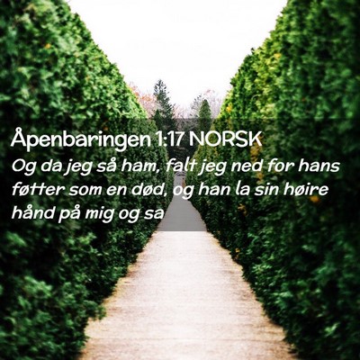 Picture 02 - Åpenbaringen 1:17 NORSK - Og da jeg så ham, falt jeg ned for hans føtter - Bible Verse Picture