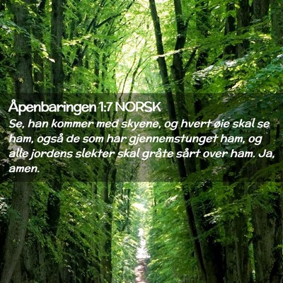Picture 02 - Åpenbaringen 1:7 NORSK - Se, han kommer med skyene, og hvert øie skal se - Bible Verse Picture
