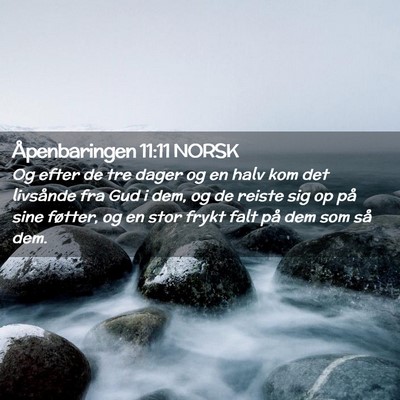 Picture 02 - Åpenbaringen 11:11 NORSK - Og efter de tre dager og en halv kom det - Bible Verse Picture