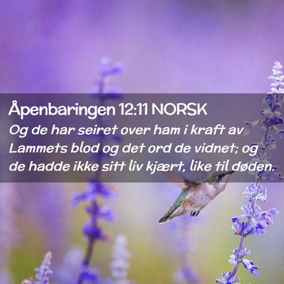 Picture 02 - Åpenbaringen 12:11 NORSK - Og de har seiret over ham i kraft av Lammets blod - Bible Verse Picture