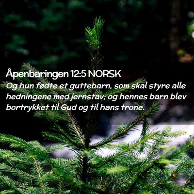 Picture 02 - Åpenbaringen 12:5 NORSK - Og hun fødte et guttebarn, som skal styre alle - Bible Verse Picture