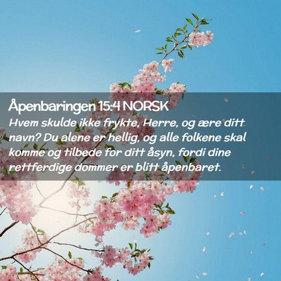 Picture 02 - Åpenbaringen 15:4 NORSK - Hvem skulde ikke frykte, Herre, og ære ditt - Bible Verse Picture