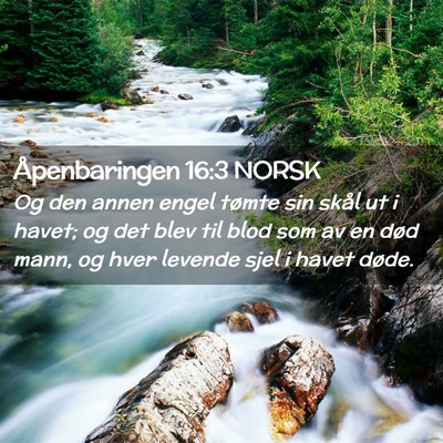 Picture 02 - Åpenbaringen 16:3 NORSK - Og den annen engel tømte sin skål ut i havet; - Bible Verse Picture