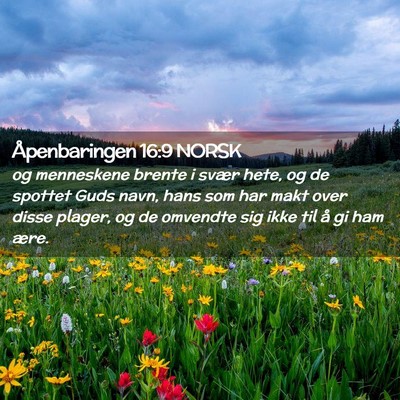 Picture 02 - Åpenbaringen 16:9 NORSK - og menneskene brente i svær hete, og de spottet - Bible Verse Picture