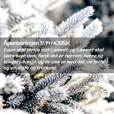Picture 02 - Åpenbaringen 17:14 NORSK - Disse skal stride mot Lammet, og Lammet skal - Bible Verse Picture