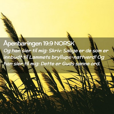 Picture 02 - Åpenbaringen 19:9 NORSK - Og han sier til mig: Skriv: Salige er de som er - Bible Verse Picture