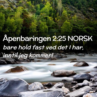 Picture 02 - Åpenbaringen 2:25 NORSK - bare hold fast ved det I har, inntil jeg - Bible Verse Picture
