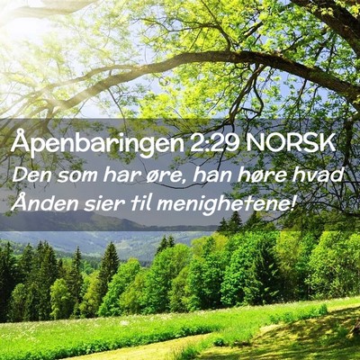 Picture 02 - Åpenbaringen 2:29 NORSK - Den som har øre, han høre hvad Ånden sier til - Bible Verse Picture