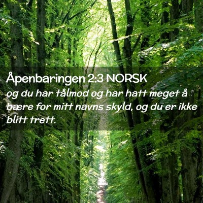 Picture 02 - Åpenbaringen 2:3 NORSK - og du har tålmod og har hatt meget å bære for - Bible Verse Picture