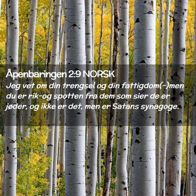 Picture 02 - Åpenbaringen 2:9 NORSK - Jeg vet om din trengsel og din fattigdom(-)men du - Bible Verse Picture