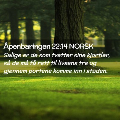 Picture 02 - Åpenbaringen 22:14 NORSK - Salige er de som tvetter sine kjortler, så de - Bible Verse Picture
