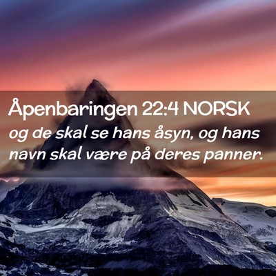 Picture 02 - Åpenbaringen 22:4 NORSK - og de skal se hans åsyn, og hans navn skal være - Bible Verse Picture