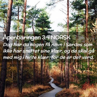 Picture 02 - Åpenbaringen 3:4 NORSK - Dog har du nogen få navn i Sardes som ikke har - Bible Verse Picture
