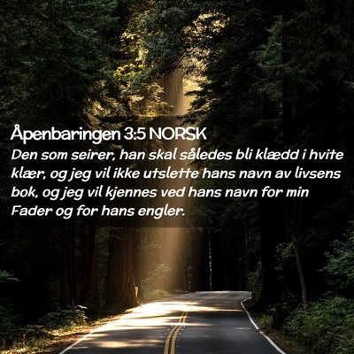 Picture 02 - Åpenbaringen 3:5 NORSK - Den som seirer, han skal således bli klædd i - Bible Verse Picture