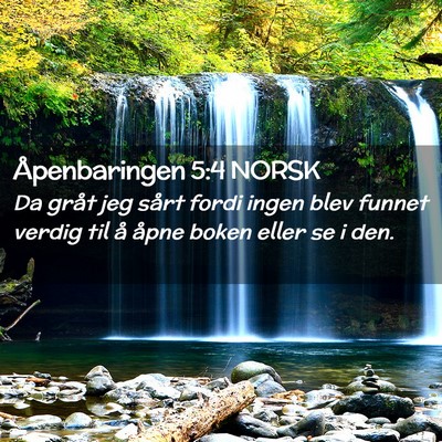 Picture 02 - Åpenbaringen 5:4 NORSK - Da gråt jeg sårt fordi ingen blev funnet verdig - Bible Verse Picture