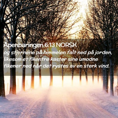 Picture 02 - Åpenbaringen 6:13 NORSK - og stjernene på himmelen falt ned på jorden, - Bible Verse Picture