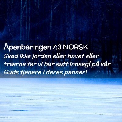 Picture 02 - Åpenbaringen 7:3 NORSK - Skad ikke jorden eller havet eller trærne før - Bible Verse Picture