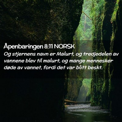 Picture 02 - Åpenbaringen 8:11 NORSK - Og stjernens navn er Malurt, og tredjedelen av - Bible Verse Picture