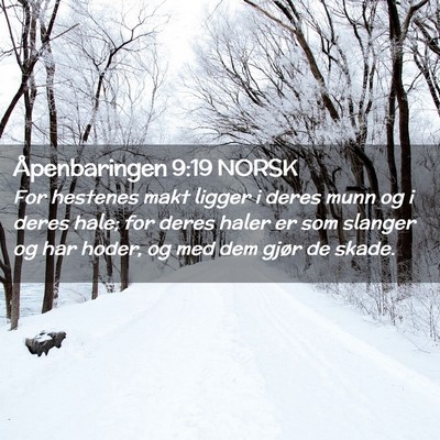 Picture 02 - Åpenbaringen 9:19 NORSK - For hestenes makt ligger i deres munn og i deres - Bible Verse Picture