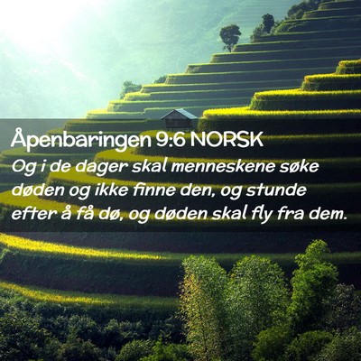 Picture 02 - Åpenbaringen 9:6 NORSK - Og i de dager skal menneskene søke døden og - Bible Verse Picture