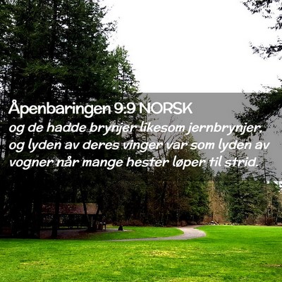 Picture 02 - Åpenbaringen 9:9 NORSK - og de hadde brynjer likesom jernbrynjer, og lyden - Bible Verse Picture