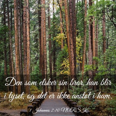 Picture 03 - 1 Johannes 2:10 NORSK - Den som elsker sin bror, han blir i lyset, og det - Bible Verse Picture