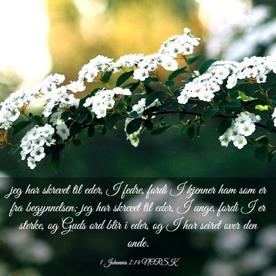 Picture 03 - 1 Johannes 2:14 NORSK - jeg har skrevet til eder, I fedre, fordi I - Bible Verse Picture