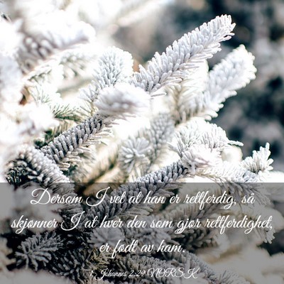 Picture 03 - 1 Johannes 2:29 NORSK - Dersom I vet at han er rettferdig, så skjønner - Bible Verse Picture