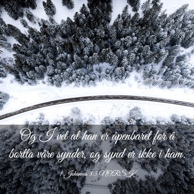 Picture 03 - 1 Johannes 3:5 NORSK - Og I vet at han er åpenbaret for å bortta våre - Bible Verse Picture