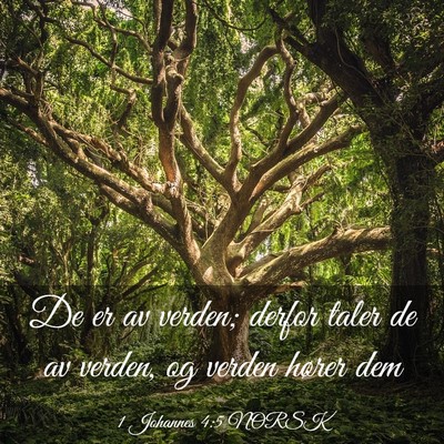 Picture 03 - 1 Johannes 4:5 NORSK - De er av verden; derfor taler de av verden, og - Bible Verse Picture
