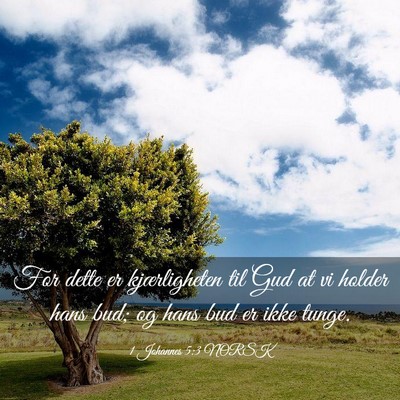Picture 03 - 1 Johannes 5:3 NORSK - For dette er kjærligheten til Gud at vi holder - Bible Verse Picture