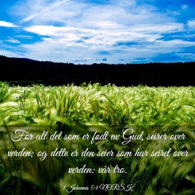 Picture 03 - 1 Johannes 5:4 NORSK - For alt det som er født av Gud, seirer over - Bible Verse Picture