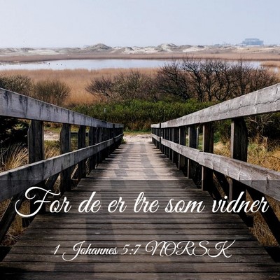 Picture 03 - 1 Johannes 5:7 NORSK - For de er tre som - Bible Verse Picture