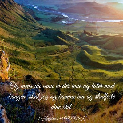 Picture 03 - 1 Kongebok 1:14 NORSK - Og mens du ennu er der inne og taler med kongen, - Bible Verse Picture