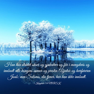 Picture 03 - 1 Kongebok 1:19 NORSK - Han har slaktet okser og gjøkalver og får i - Bible Verse Picture