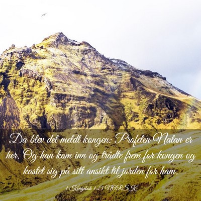 Picture 03 - 1 Kongebok 1:23 NORSK - Da blev det meldt kongen: Profeten Natan er her. - Bible Verse Picture