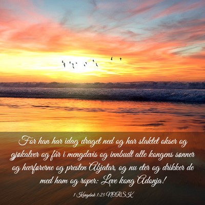 Picture 03 - 1 Kongebok 1:25 NORSK - For han har idag draget ned og har slaktet okser - Bible Verse Picture