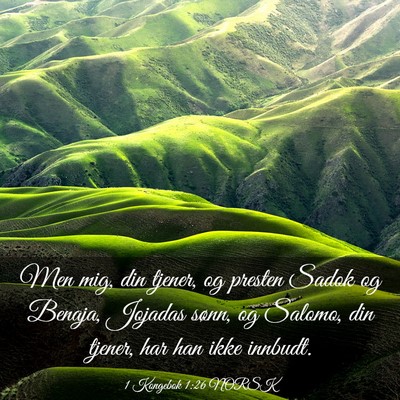 Picture 03 - 1 Kongebok 1:26 NORSK - Men mig, din tjener, og presten Sadok og Benaja, - Bible Verse Picture